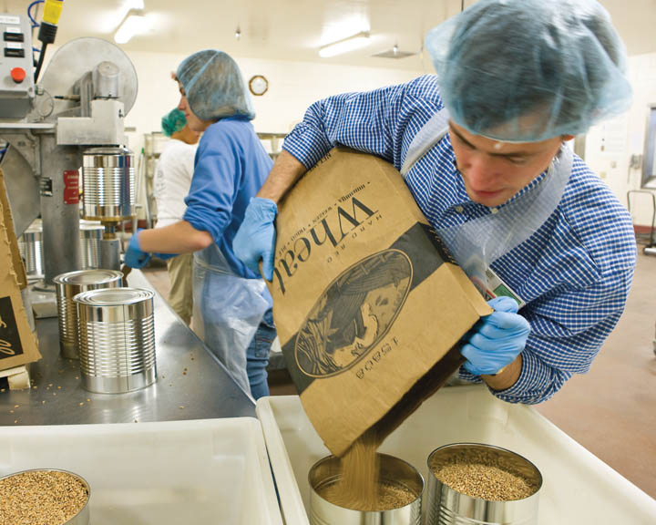 Mormon Cannery A photo of a worker pouring wheat into cans at the LDS (Mormon) Cannery.