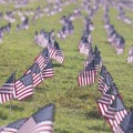 American flags