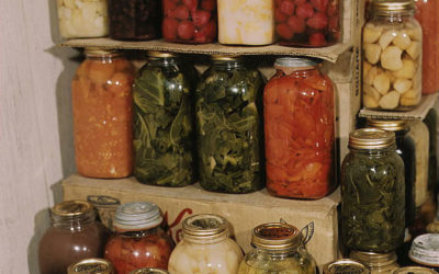 Are Mormons Doomsday Preppers?