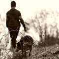 Having a dog teaches us about love, trust, choice and commitment.