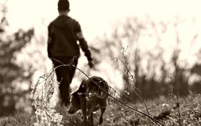 What a Dog Taught Me About Love, Trust, Choice and Commitment
