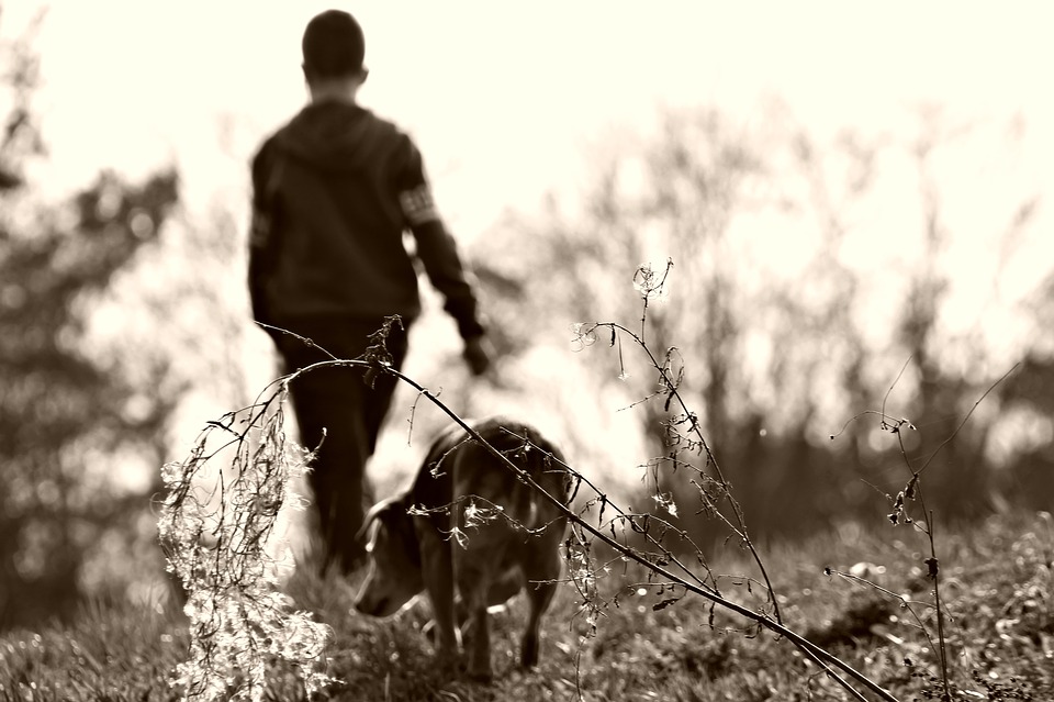 What a Dog Taught Me About Love, Trust, Choice and Commitment