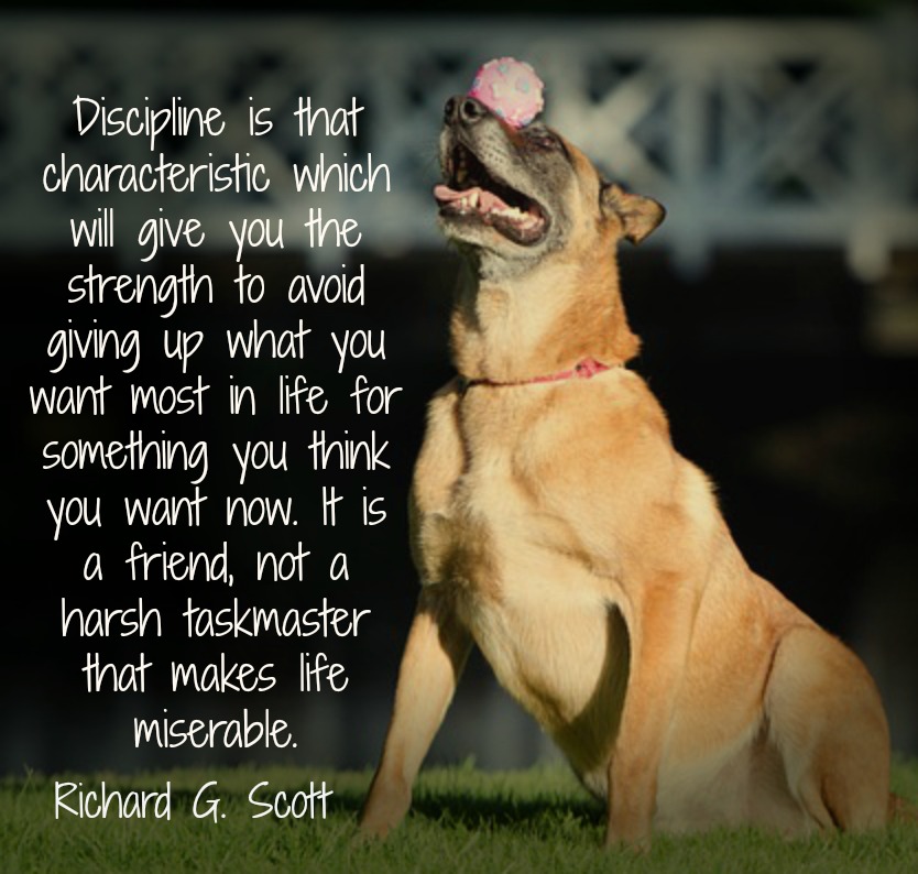 Discipline is that characteristic which will give you the strength to avoid giving up what you want most in life for something you think you want now. It is a friend, not a harsh taskmaster that makes life miserable. Richard G. Scott